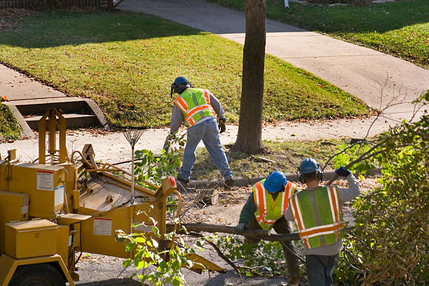 Florham Park, NJ Tree Removal and Landscaping Services Company